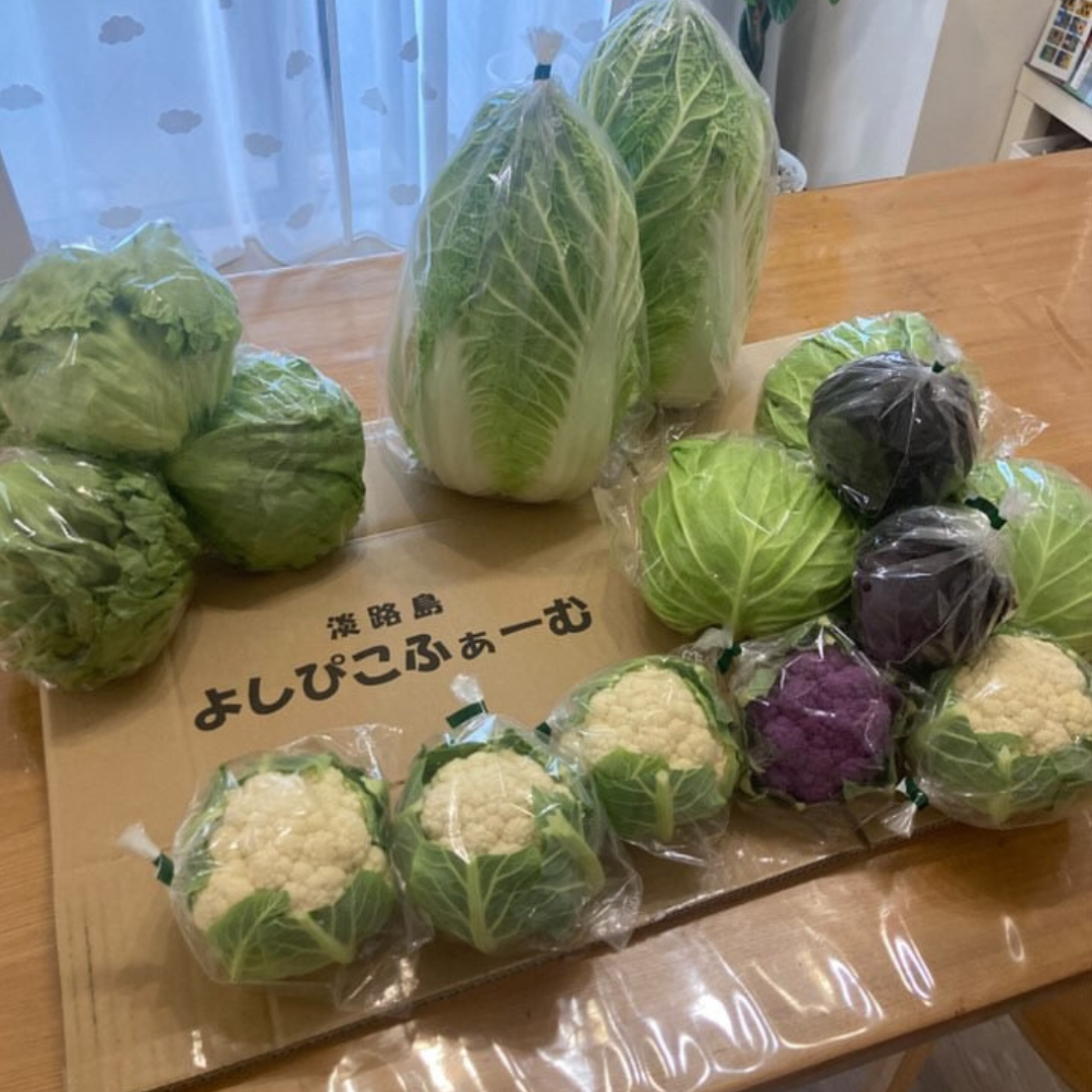 よしぴこふぁーむ