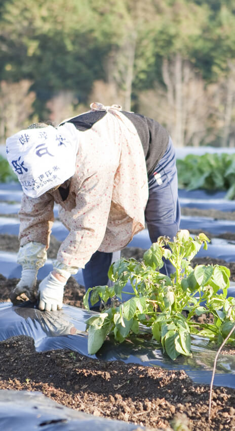 生産者2
