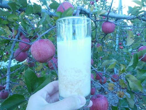🍎͙りんごジュースの美味しい飲み方🍎